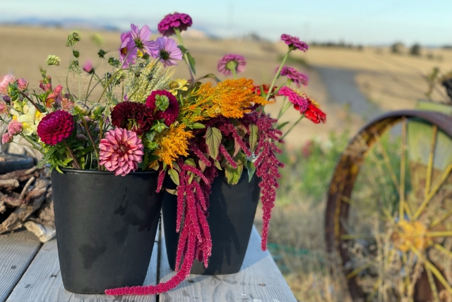 En bild av blommor